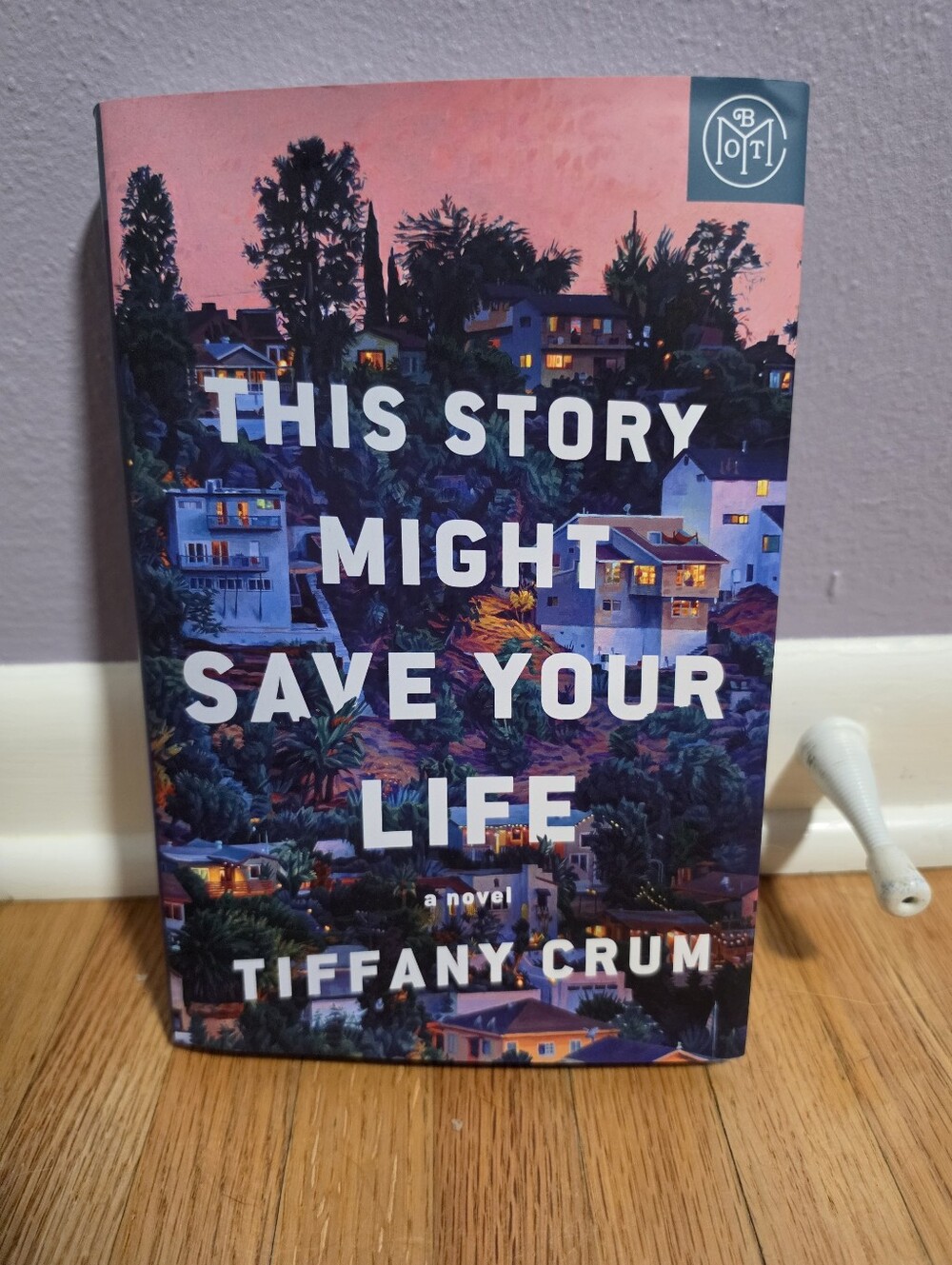 This Story Might Save Your Life - Tiffany Crum BOTM